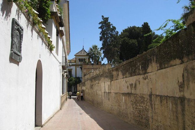 Essential Seville Tour - Santa Cruz and Surroundings