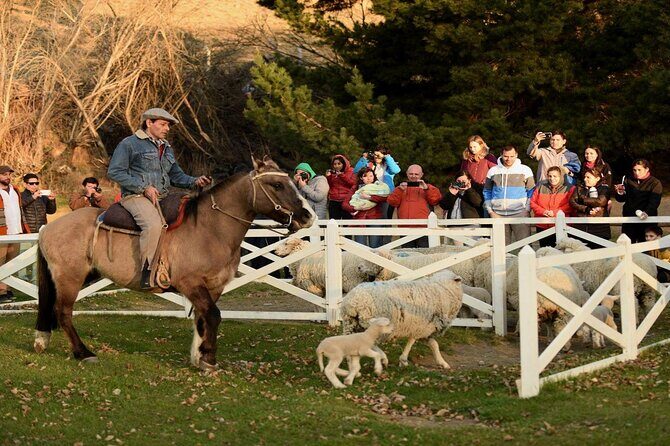 Estancia 25 de Mayo Experience with Dinner from Calafate - The Sum Up