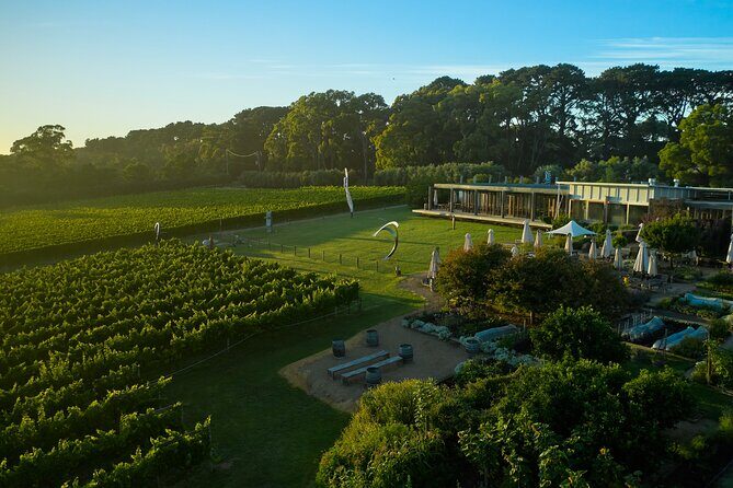 Estate to Plate: Montalto Vineyard Gourmet Lunch and Wine-Tasting Tour - Exploring at Your Own Pace