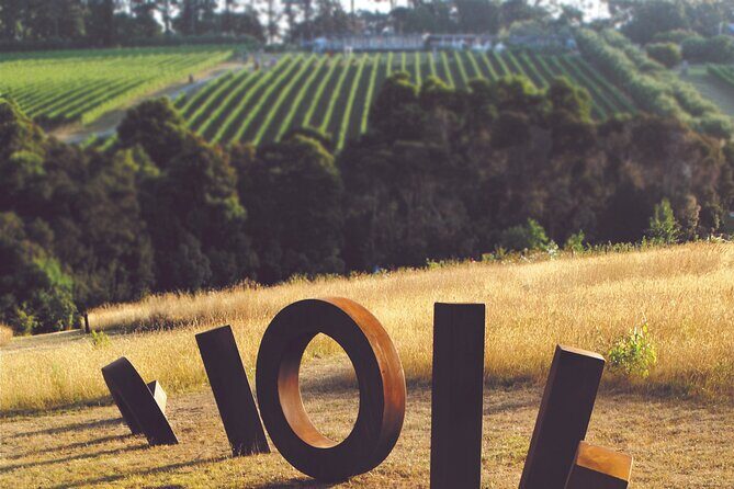 Estate to Plate: Montalto Vineyard Gourmet Lunch and Wine-Tasting Tour - Authentic Experience with Value and Charm
