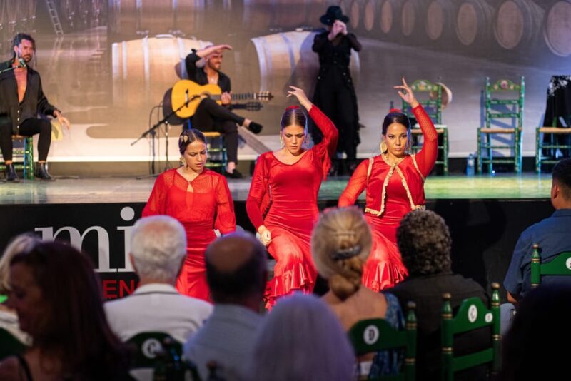 Estepona: Andalusian Flamenco Show Entry Ticket with Drink - A Closer Look at the Flamenco Experience