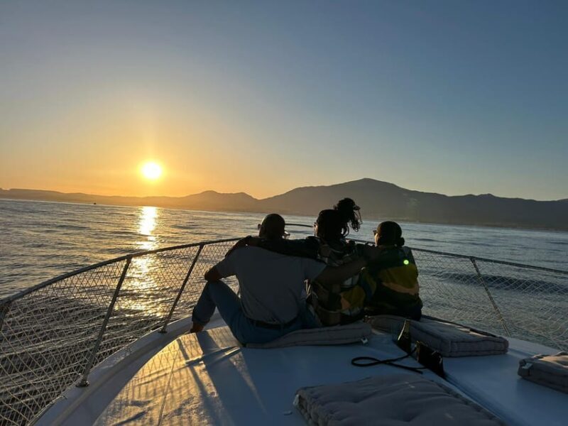 Estepona: Dolphin Searching Sunset Cruise with Drink & Snack - Who Should Consider This Tour?