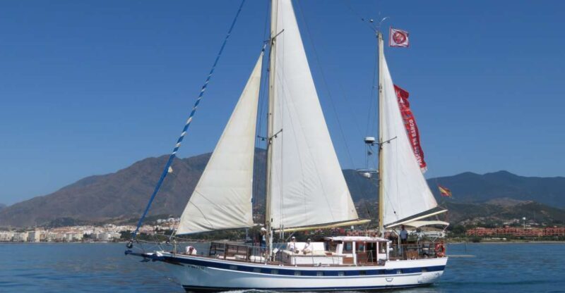 Estepona: Dolphin Watching Sailboat Cruise with Drink - Why This Tour Offers Good Value