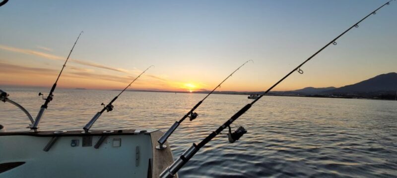 Estepona: Fishing Tour StartFisher 1060 - An In-Depth Look at the Estepona Fishing Tour