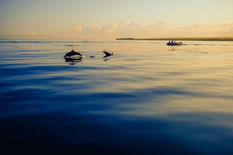 Estepona: Private sailing trip ideal for groups of up to 10 people. - Key Points