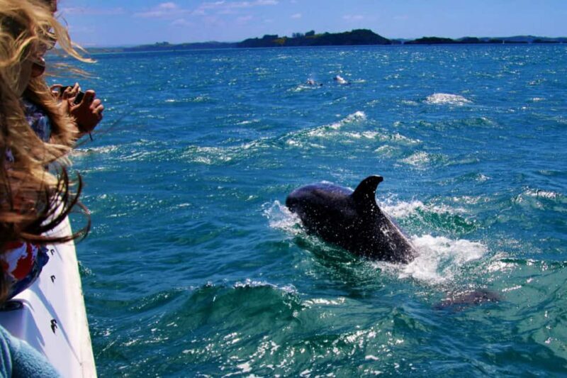 Estepona: Private sailing trip ideal for groups of up to 10 people. - Who Will Love This?