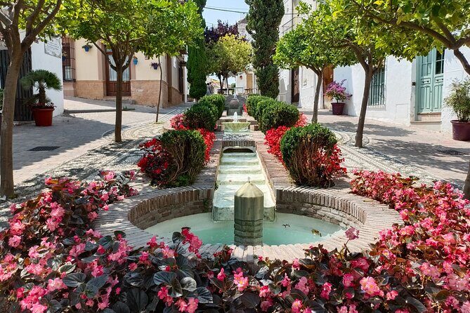 Estepona Private Walking Tour - The Sum Up
