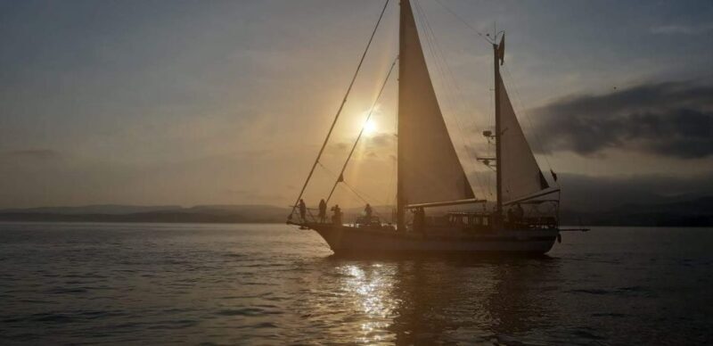 Estepona: Sunset Sailboat Cruise with Drink - Journey Through the Experience