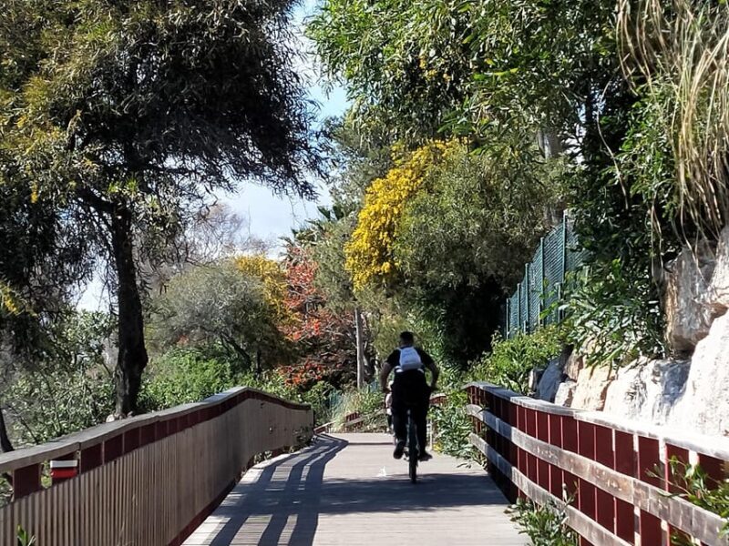 Estepona Walking Tour - City History, Culture & Gastronomy - Introduction