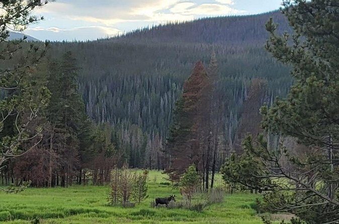 Estes Park Off Road 4x4 Jeep Adventure Tour - FAQ