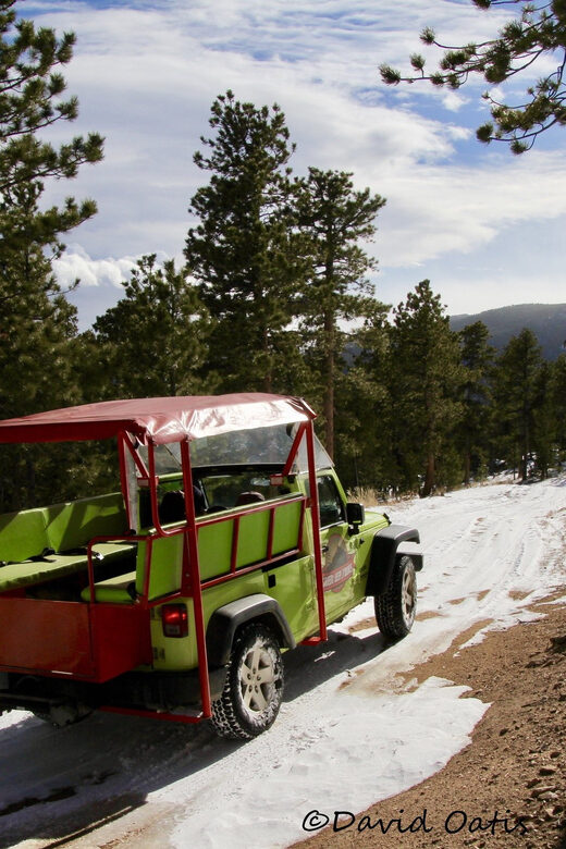 Estes Park: Rocky Mountain National Park Safari Tour - Why This Tour Offers Great Value