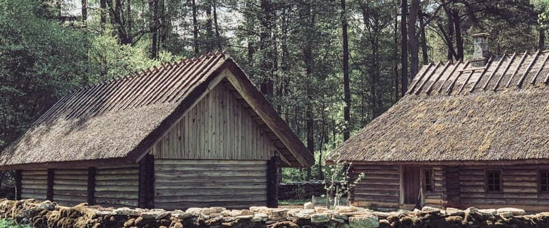 Estonian Open Air Museum  Cultural VIP tour from Tallinn - Estonian Open Air Museum Cultural VIP Tour from Tallinn: A Deep Dive into Rural Estonia