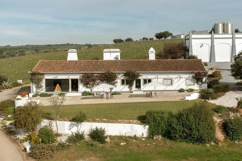 Estremoz, Alentejo, Portugal: Wine tour & Wine tasting - Key Points