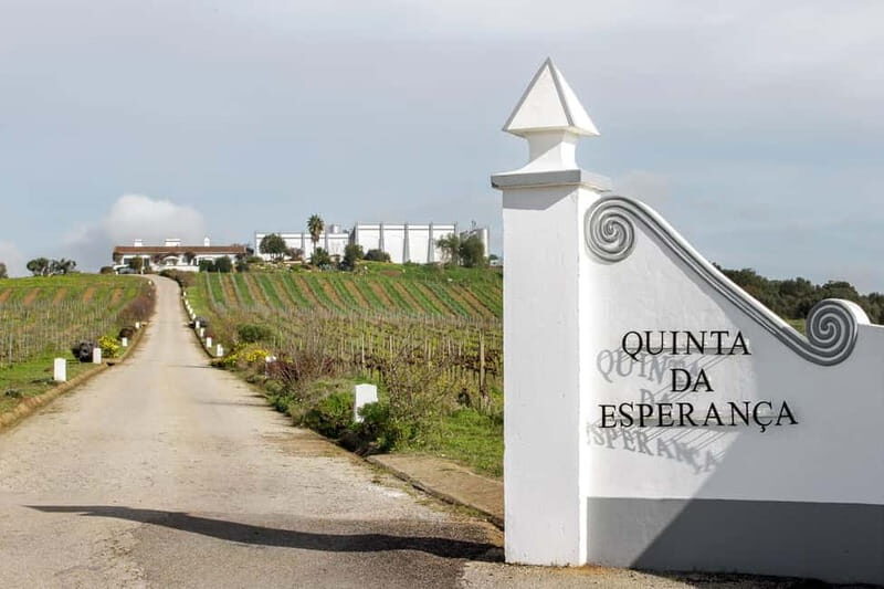 Estremoz, Alentejo, Portugal: Wine tour & Wine tasting - An In-Depth Look at the Wine Tour Experience in Estremoz