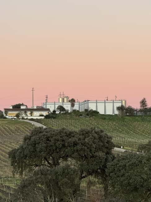 Estremoz, Alentejo, Portugal: Wine tour & Wine tasting - Final Thoughts