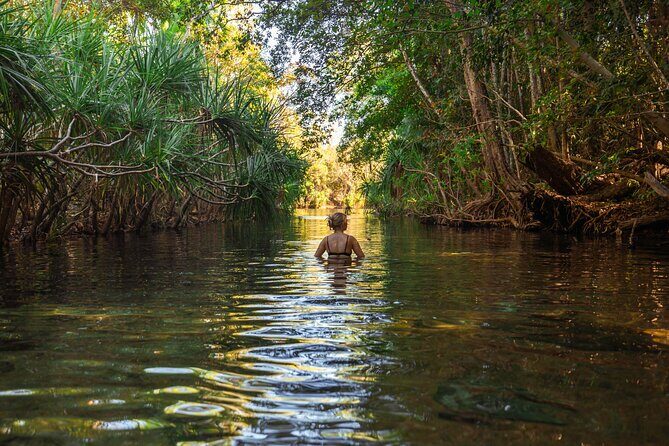 ETHICAL ADVENTURES - 1 Day premium Litchfield tour, Max 10 guests - Why This Tour Is Worth Your Time