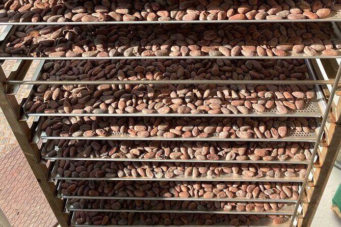 Ethical Chocolate Tour - Final Thoughts