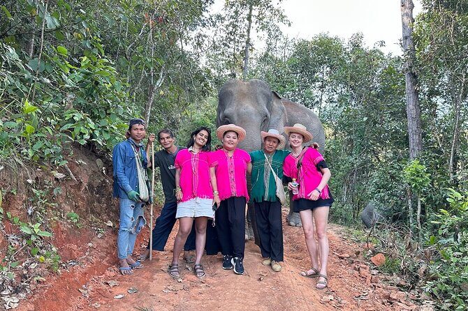 Ethical Elephant Observation Half Day from Chiang Mai - Ethical Elephant Observation Half Day from Chiang Mai: A Genuine Connection to Thailand’s Gentle Giants