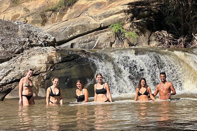 Ethical Elephant Observation Half Day from Chiang Mai - What Reviewers Say