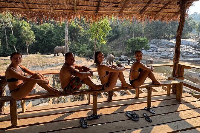 Ethical Elephant Observation Half Day from Chiang Mai - FAQ