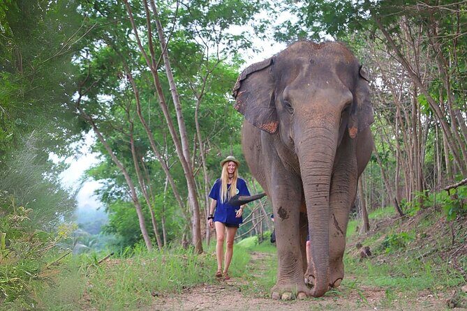 Ethical Elephant Sanctuary Tour from Bangkok & Pattaya - Who Should Consider This Tour?