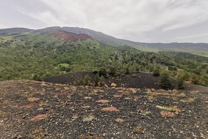 Etna 4WD - FAQs