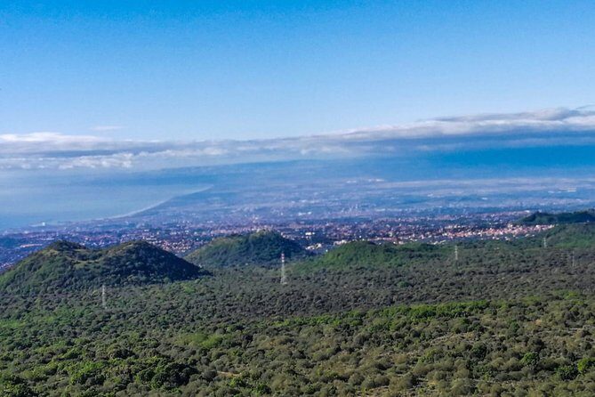 Etna and Wines Tour - A Detailed Look at the Etna and Wines Tour