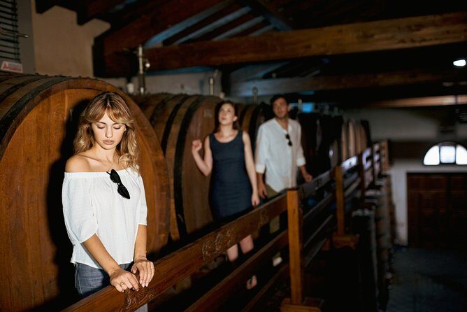 Etna Countryside Food & Wine Lovers Tour (Small Group or Private) - Final Thoughts