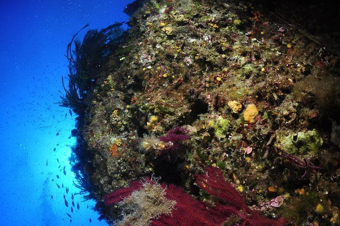 Etna & Diving Jeep Tour - Why This Tour Offers Great Value