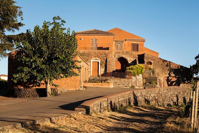 Etna DOC & Organic Wine tasting and tour of the 1815 historic winery - The Value Proposition