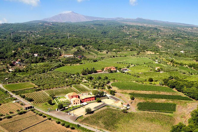 Etna DOC & Organic Wine tasting and tour of the 1815 historic winery - Who Should Book?