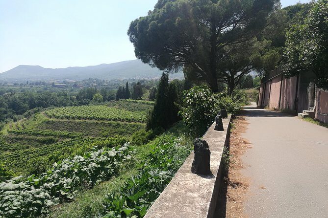 Etna Excursion and Lunch - Wine Tasting in Etna DOC Vinery - Why Travelers Love This Tour
