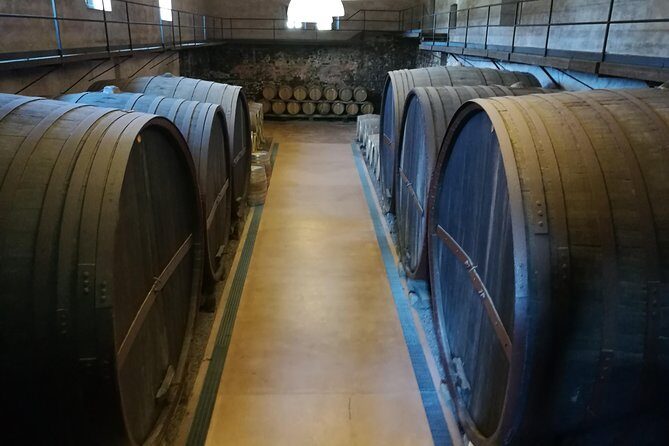 Etna Excursion and Lunch - Wine Tasting in Etna DOC Vinery - FAQ