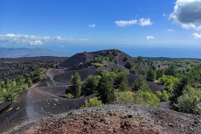 Etna excursion and wine tasting with Sicilian lunch - Key Points