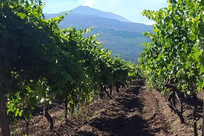 Etna excursion and wine tasting with Sicilian lunch - Who Would Enjoy This Tour?