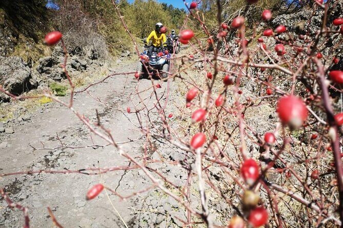 Etna Hard Tour - Final Thoughts