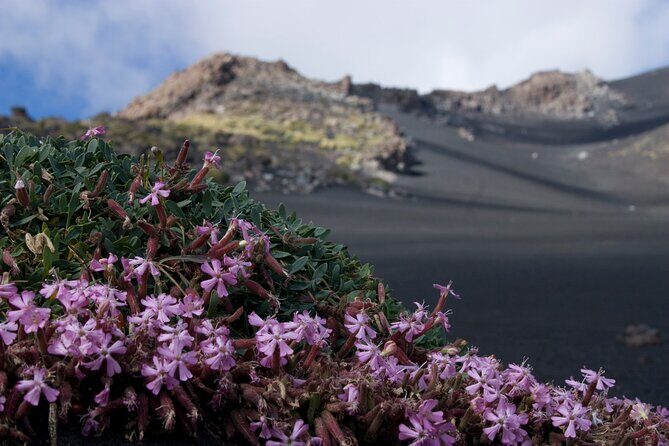 Etna Morning or Sunset - Trek & Lava Tunnel with Gear - Exploring the Heart of Sicily: A Thorough Look at the Etna Trek & Lava Tunnel Tour