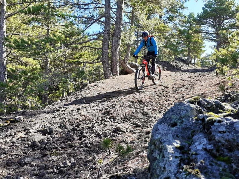 Etna: Mountain Bike or E-Bike Tour on Mount Etna - Analyzing the Value