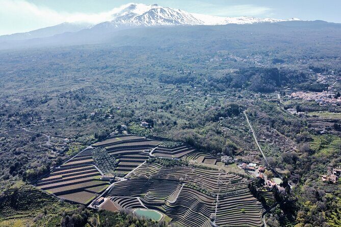 Etna panoramic private tour+Wine taste&food combination(AMAZING) - A Comprehensive Look at the Etna Panoramic Private Tour