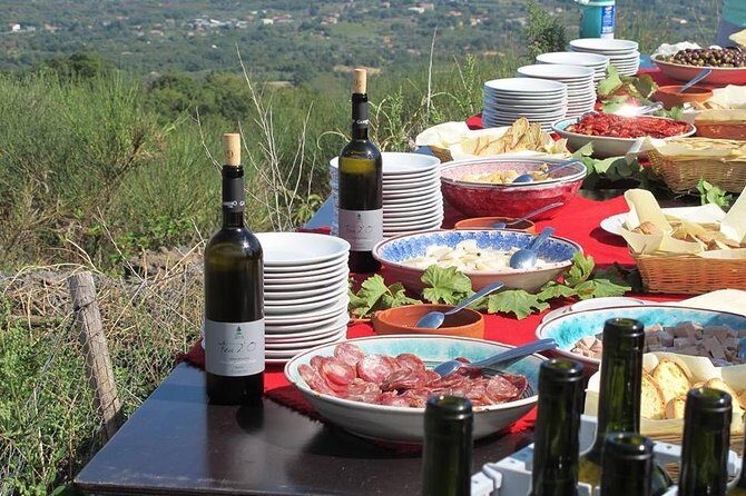 Etna Private tour from Messina Cruise Terminal + Lunch at Winery - Note: Booking details and reviews highlight the importance of early reservations and the value of private guides in making your Sicilian experience truly special.