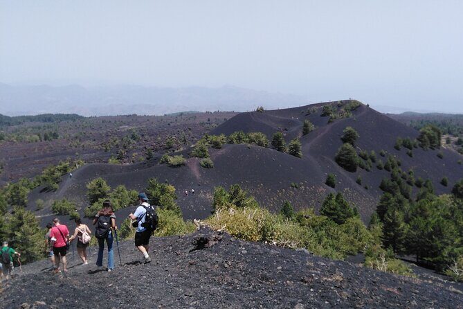 Etna private tour with wine cellar gambino lunch and wine tasting - Discovering Mount Etna and Beyond: A Detailed Review
