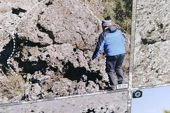 Etna private tour with wine cellar gambino lunch and wine tasting - Final Reflection: Who Will Love This Tour?