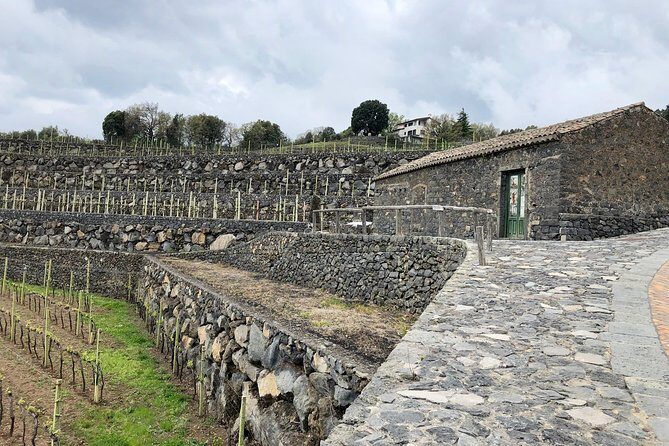 Etna tour 4x4 & Wine Experience in a farm - Who Should Consider This Tour?