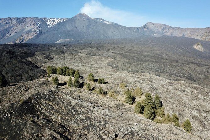 Etna tour 4x4 & Wine Experience in a farm - Frequently Asked Questions