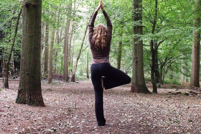 Etna Volcanic Yoga and Meditation - Private Experience - Key Points