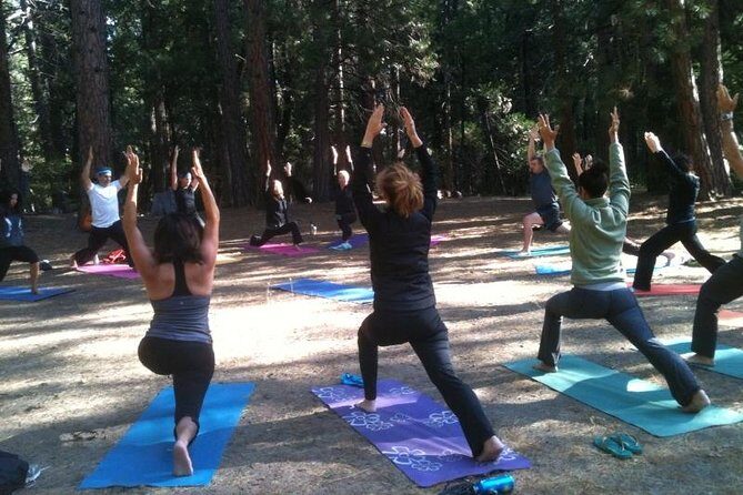 Etna Volcanic Yoga and Meditation - Private Experience - How This Tour Offers Value