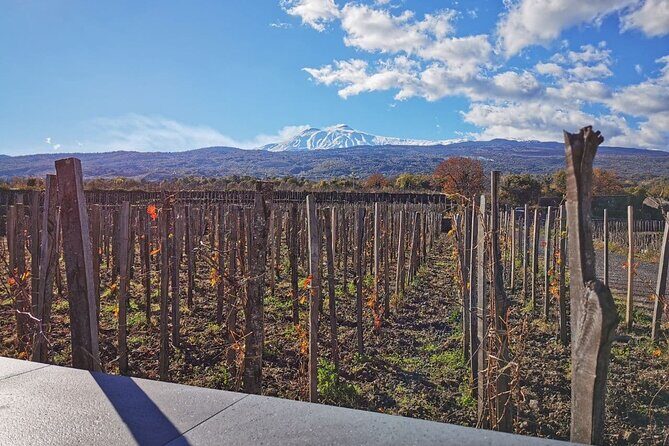 Etna Wine and Alcantara - An In-Depth Look at What to Expect