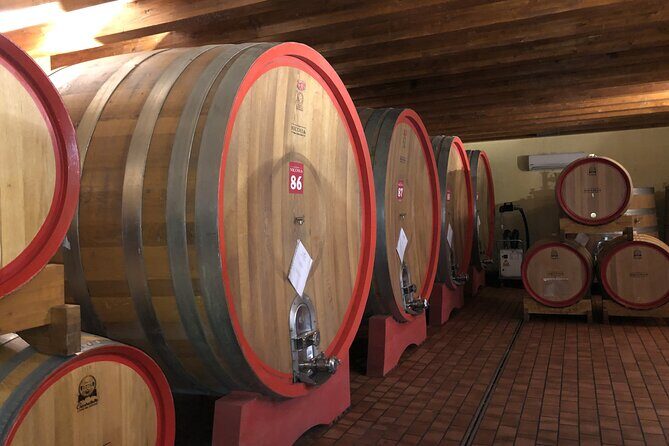 Etna Wine Tour - Exploring the Details: The Etna Wine Tour Experience