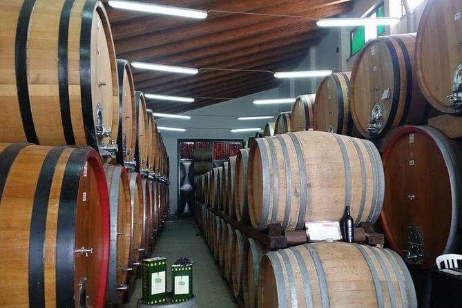 Etna Wineries Tour - In-Depth Look at the Etna Wineries Tour