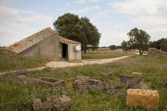 Etruscan Wonders (Driver Only/Self Touring) - A Walk Through the Etruscan World: An Authentic Day Trip from Rome